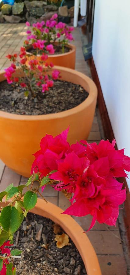 Summer Sand Holiday Cottages Скотбург Екстериор снимка